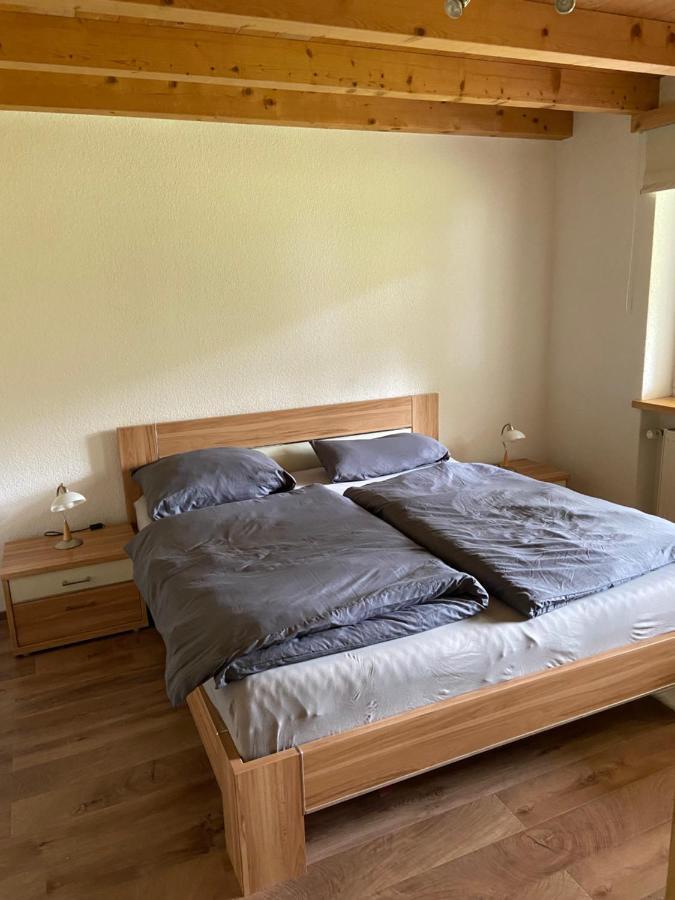 Ferienwohnung Im Herzen Graubuendens Surava エクステリア 写真